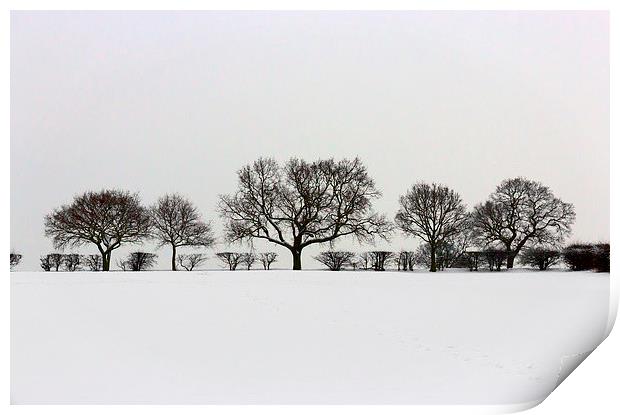 Winter Trees Print by Matt Cottam