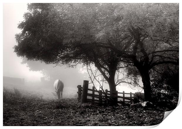 Misty Morning Print by Alison Streets