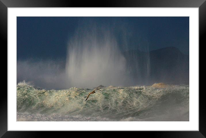 Strong winds Framed Mounted Print by barbara walsh
