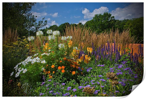 Late Summer Blooms Print by Colin Metcalf