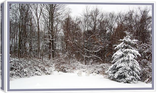 The Forest in our BackYard Canvas Print by james balzano, jr.