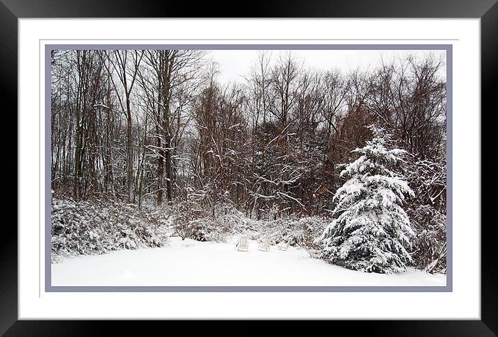The Forest in our BackYard Framed Mounted Print by james balzano, jr.
