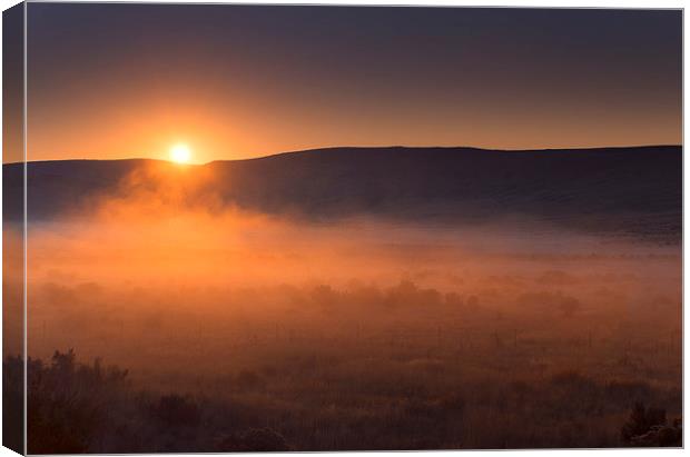High Desert Morning Mist Canvas Print by Mike Dawson