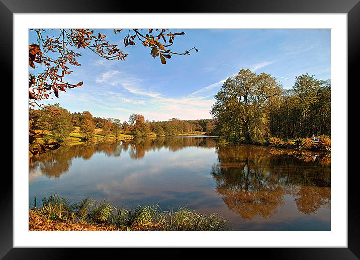 Browsholme in Autumn Framed Mounted Print by Irene Burdell