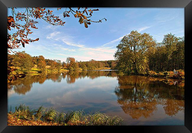 Browsholme in Autumn Framed Print by Irene Burdell