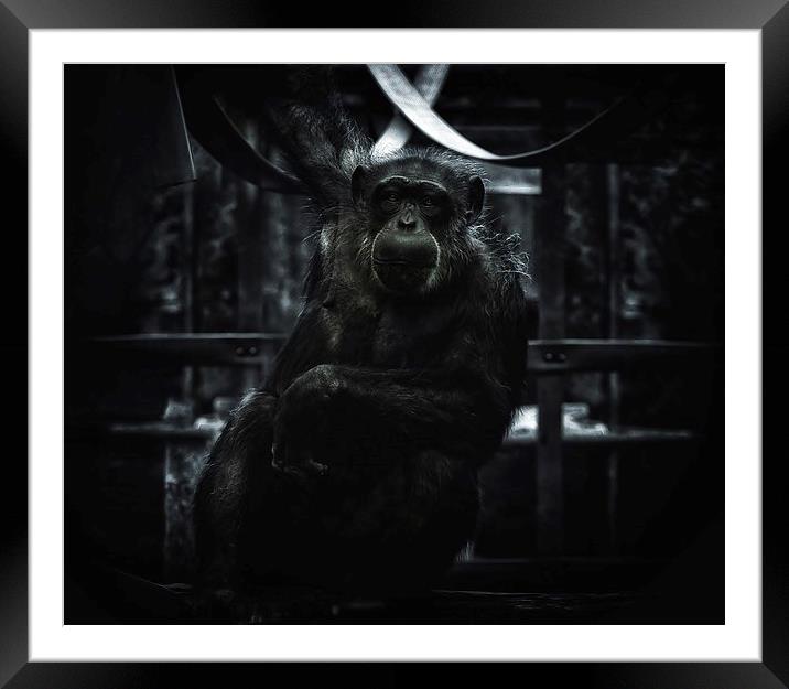 Me and my Monkey Framed Mounted Print by Jason Green