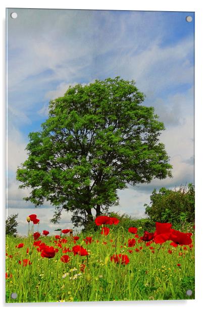 The poppy tree Acrylic by Lesley Mohamad
