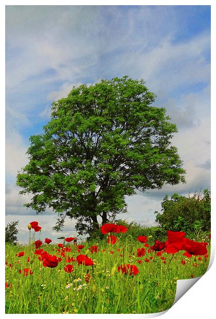 The poppy tree Print by Lesley Mohamad