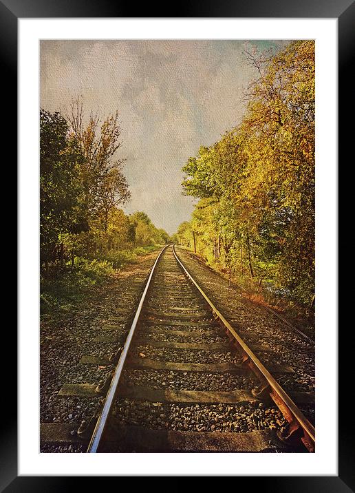 Autumn Tracks Framed Mounted Print by Lesley Mohamad
