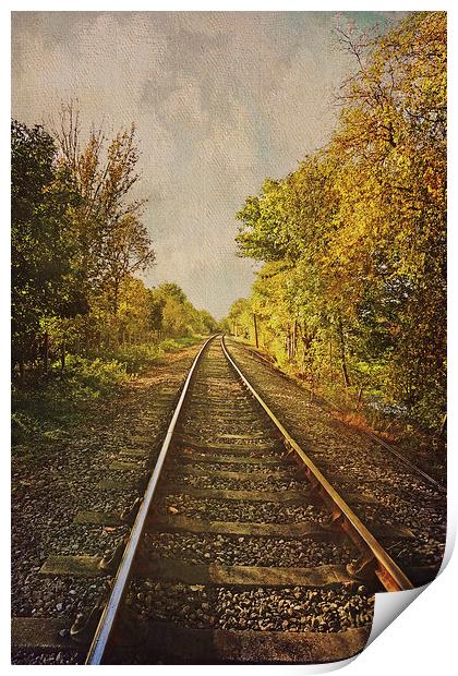 Autumn Tracks Print by Lesley Mohamad