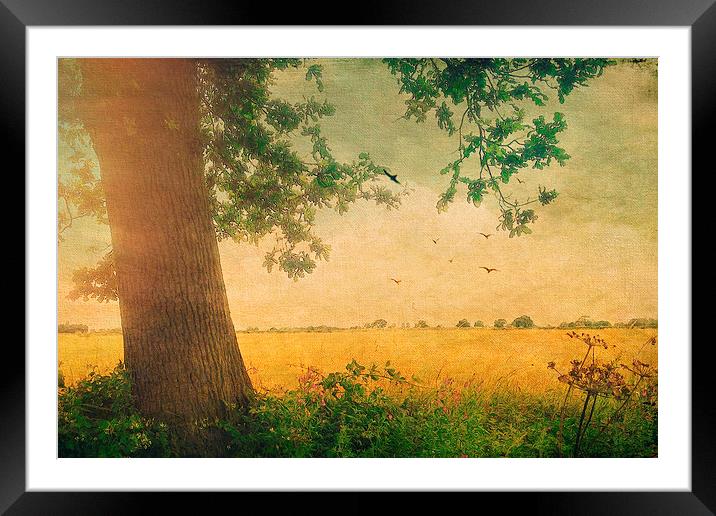 Summer Sun Shower Framed Mounted Print by Lesley Mohamad