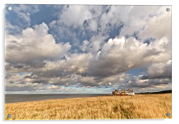 Life on the Edge in Weybourne Acrylic by Paul Macro