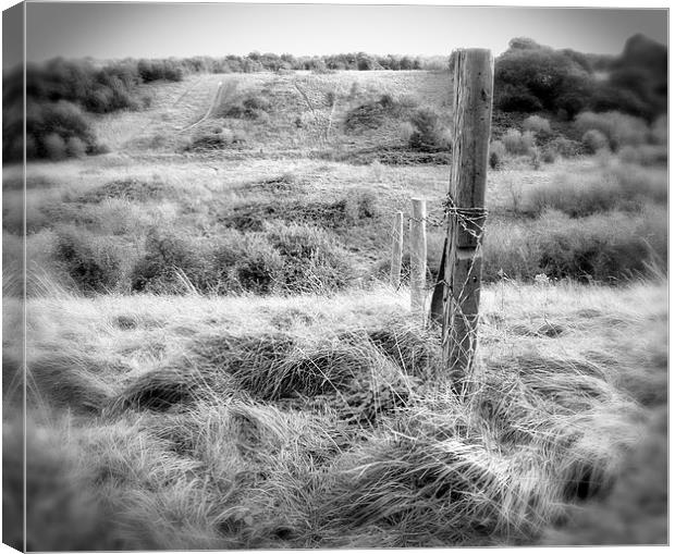 Rolling Hills Canvas Print by Colin Richards