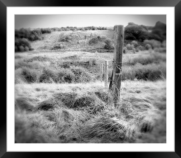 Rolling Hills Framed Mounted Print by Colin Richards