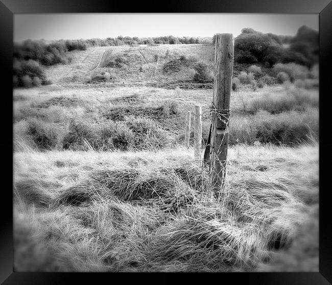 Rolling Hills Framed Print by Colin Richards