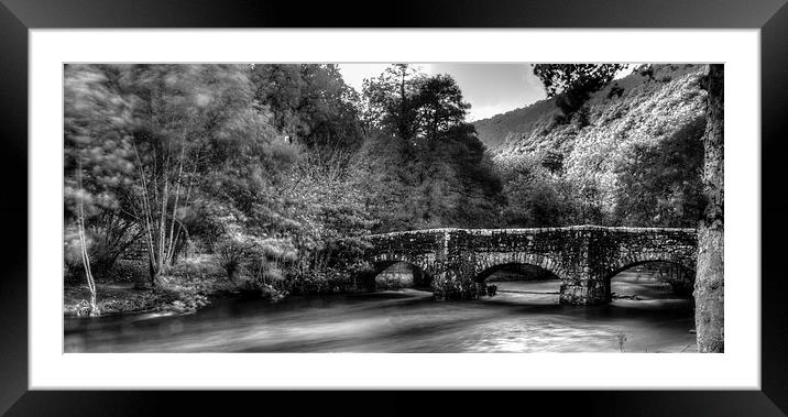 Fingle Bridge in the Autumn Framed Mounted Print by James Cheesman