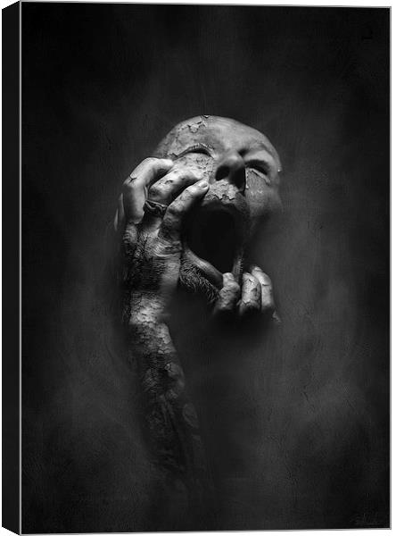 THE LOST SOUL in B/W Canvas Print by Rob Toombs