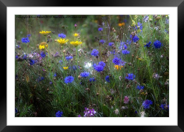 Wild Flowers in France Framed Mounted Print by Ann Garrett