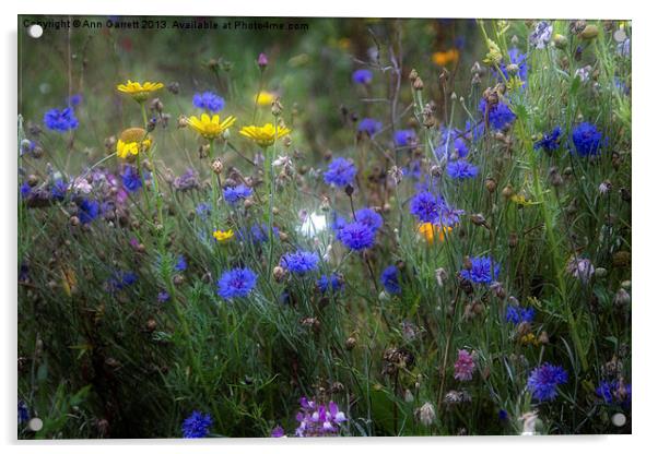 Wild Flowers in France Acrylic by Ann Garrett