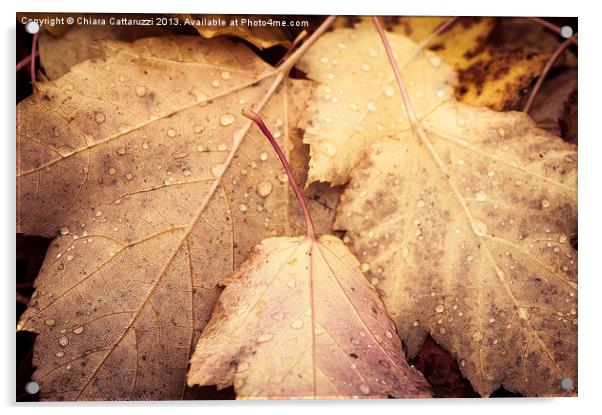 Autumn leaves Acrylic by Chiara Cattaruzzi