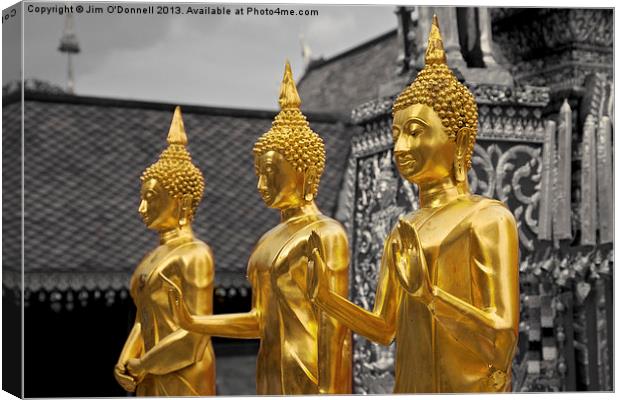 Gold Buddha Canvas Print by Jim O'Donnell