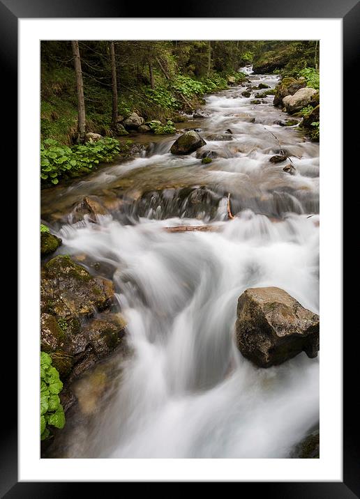 Little mountain creek Framed Mounted Print by Robert Parma