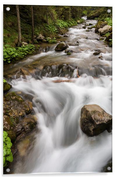 Little mountain creek Acrylic by Robert Parma