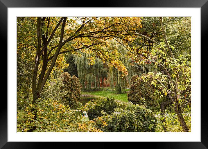 City park in autumn Framed Mounted Print by Robert Parma