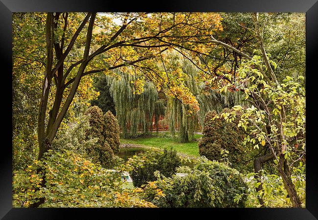 City park in autumn Framed Print by Robert Parma