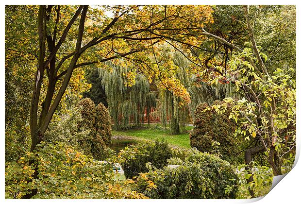 City park in autumn Print by Robert Parma