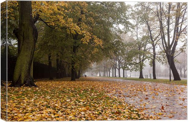 Foggy autumn in the city Canvas Print by Robert Parma