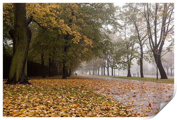 Foggy autumn in the city Print by Robert Parma