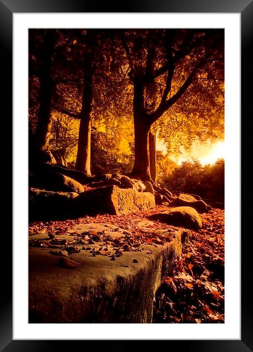 Fading Light Framed Mounted Print by Chris Manfield