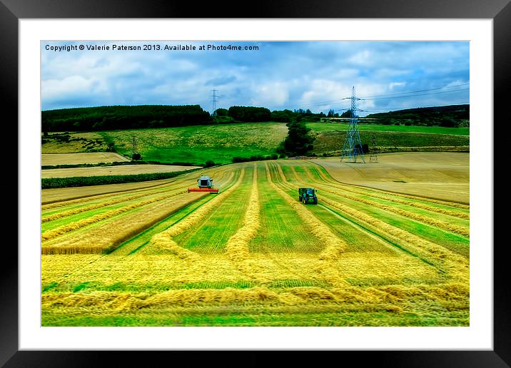 Harvesting The Fields Framed Mounted Print by Valerie Paterson