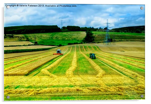 Harvesting The Fields Acrylic by Valerie Paterson