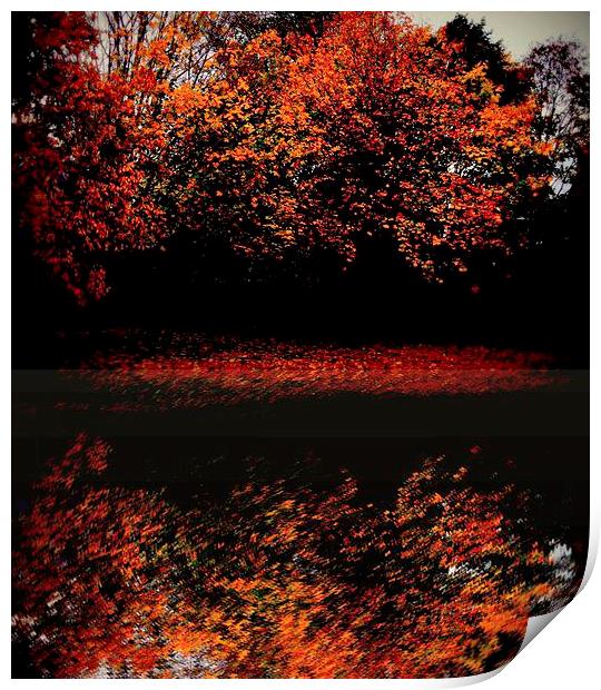 fall time Print by dale rys (LP)