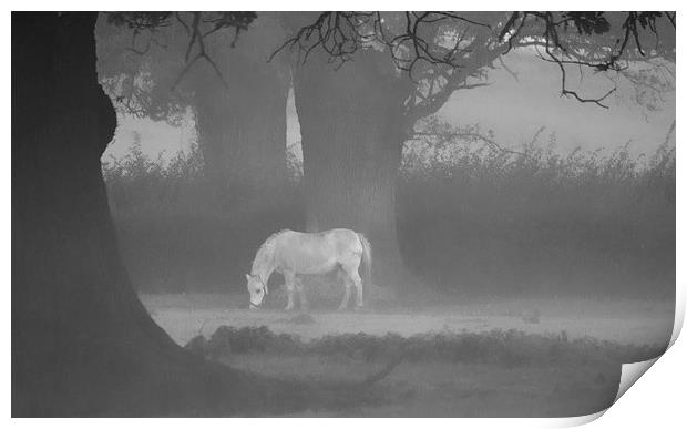 Horse In The Mist Print by Clive Eariss