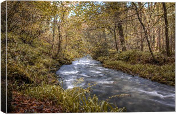 River Lyd in Autumn Canvas Print by James Cheesman