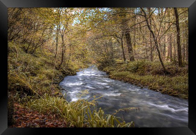 River Lyd in Autumn Framed Print by James Cheesman