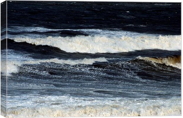 Waves. Canvas Print by