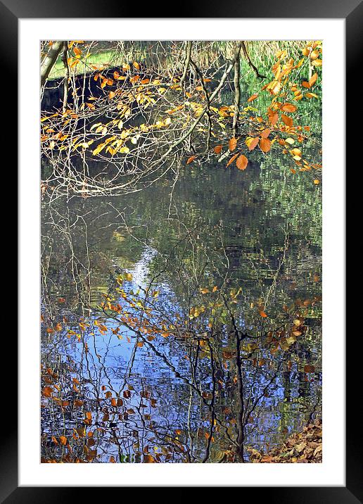 Autumn Reflections Framed Mounted Print by Tony Murtagh
