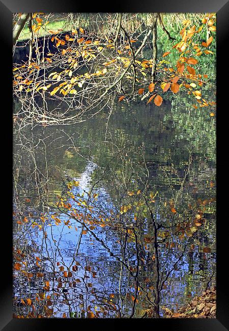 Autumn Reflections Framed Print by Tony Murtagh