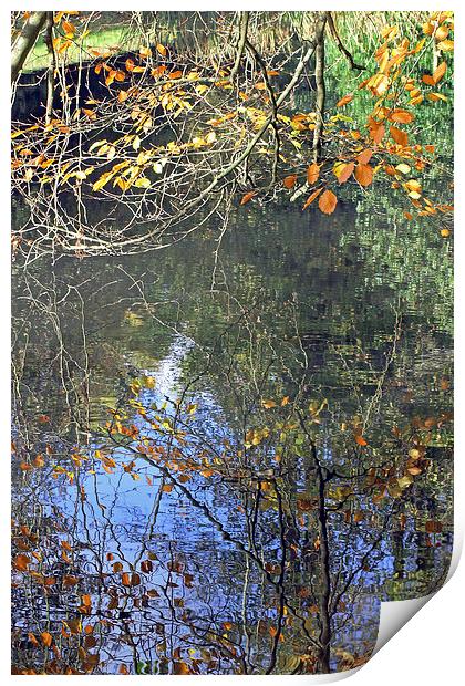 Autumn Reflections Print by Tony Murtagh