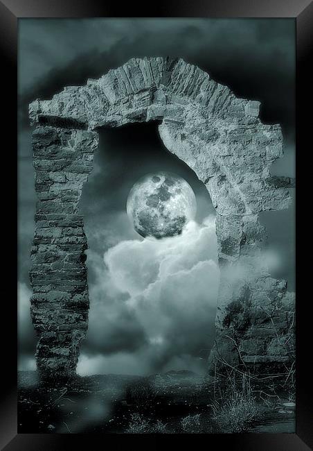 Midnight Dream Framed Print by Christine Lake