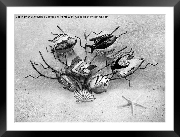 Tropical Fish in black and white Framed Mounted Print by Betty LaRue