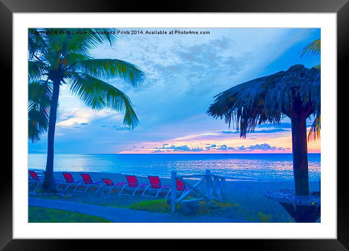 Tropical Paradise Framed Mounted Print by Betty LaRue