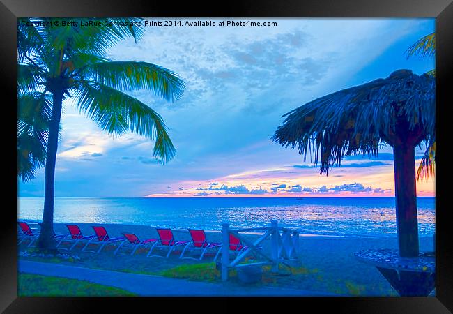 Tropical Paradise Framed Print by Betty LaRue