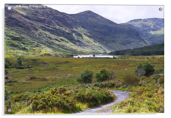 Irish Mountain Scene Acrylic by Jane McIlroy