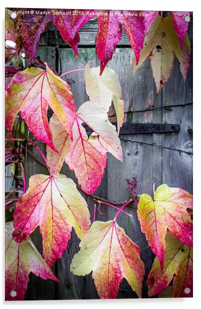 Autumn Tears Acrylic by Martyn Sothcott