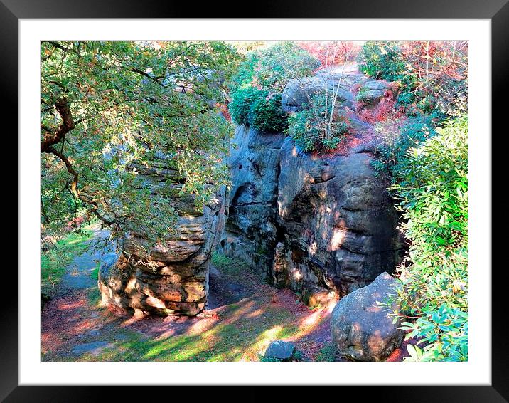 Autumn Rocks Framed Mounted Print by Colin Richards